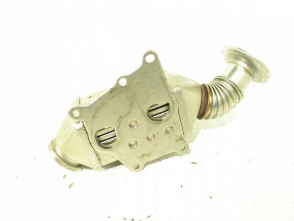 13505521070-696b49e514863 CHŁODNICZKA EGR REGENADE COMPAS II 2.0JTD 55268284