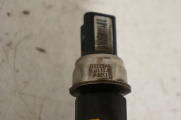 LISTWA WTRYSKOWA CITROEN C4 207 1,6 EHDI 9684753080-02 9664111780 DELPHI