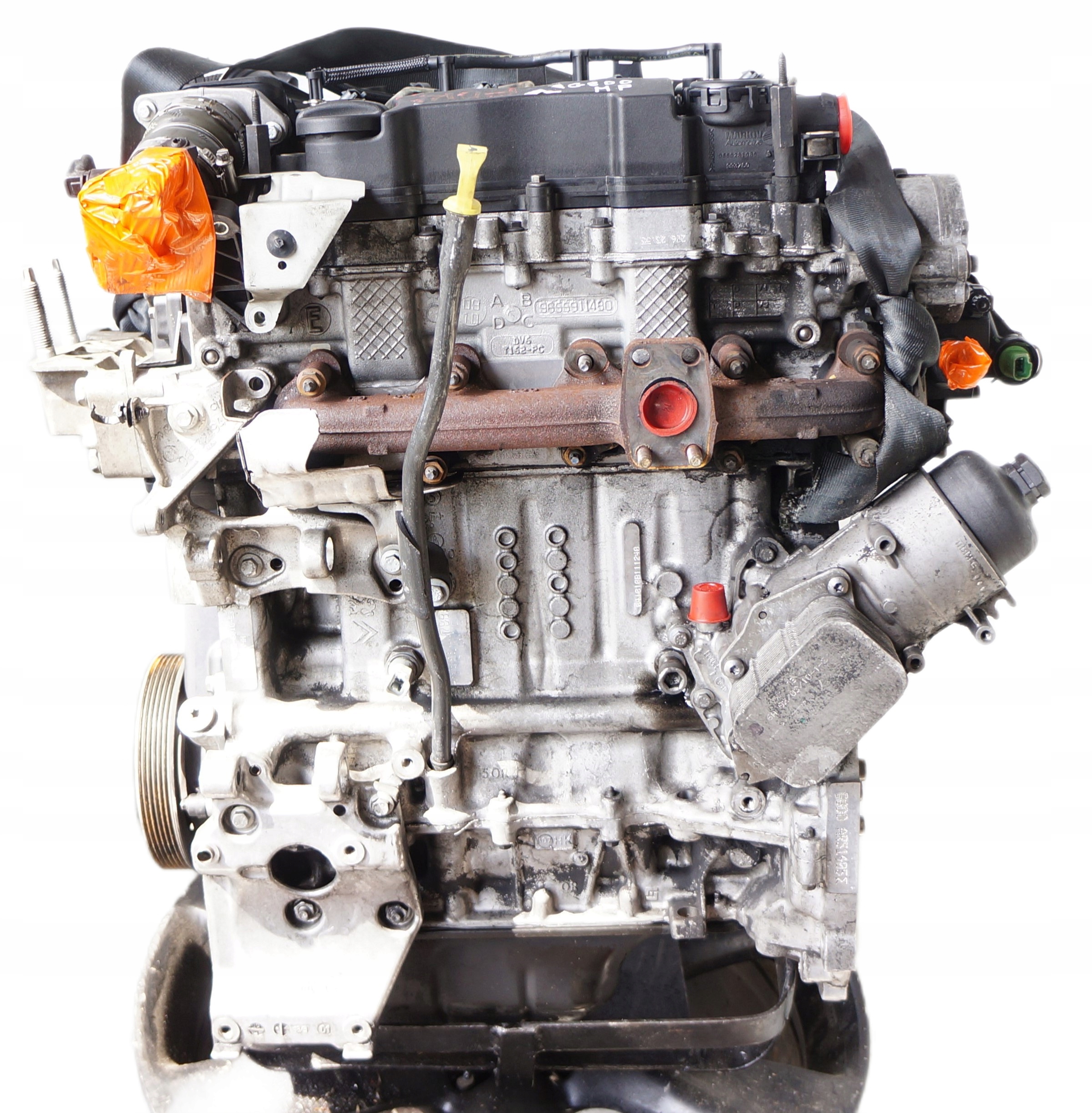 17777808395-69690e8df09c1 SILNIK ENGINE FORD FOCUS CITROEN PEUGEOT 207 1,6 TDCI HDI G8DD