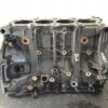 BLOK SILNIKA NISSAN QASHQAI X-TRAIL RENAULT TRAFIC 2.0 DCI M9R866