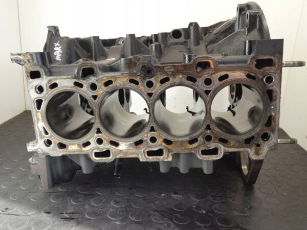 BLOK SILNIKA NISSAN QASHQAI X-TRAIL RENAULT TRAFIC 2.0 DCI M9R866