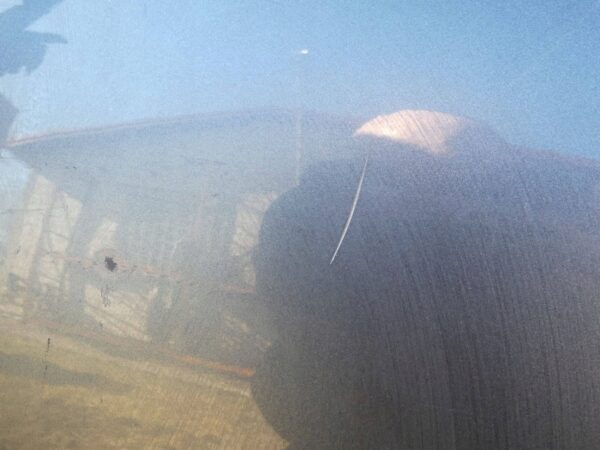 DRZWI LEWY TYŁ BMW 3 F31 B39 KOMPLET